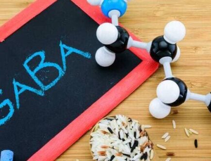 gaba sommeil