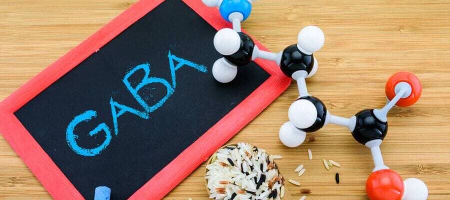 gaba sommeil