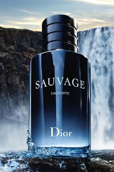 parfum printemps homme sauvage eau forte dior